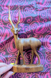 TEAK GAZELLES